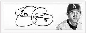 Art of the Signature piece of Shawn Green