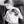 Cinderella Man - James Braddock Print