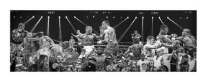 Mayweather: TBE - Floyd Mayweather Print