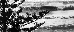 Tree 2 Print