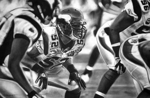 Vikes D
